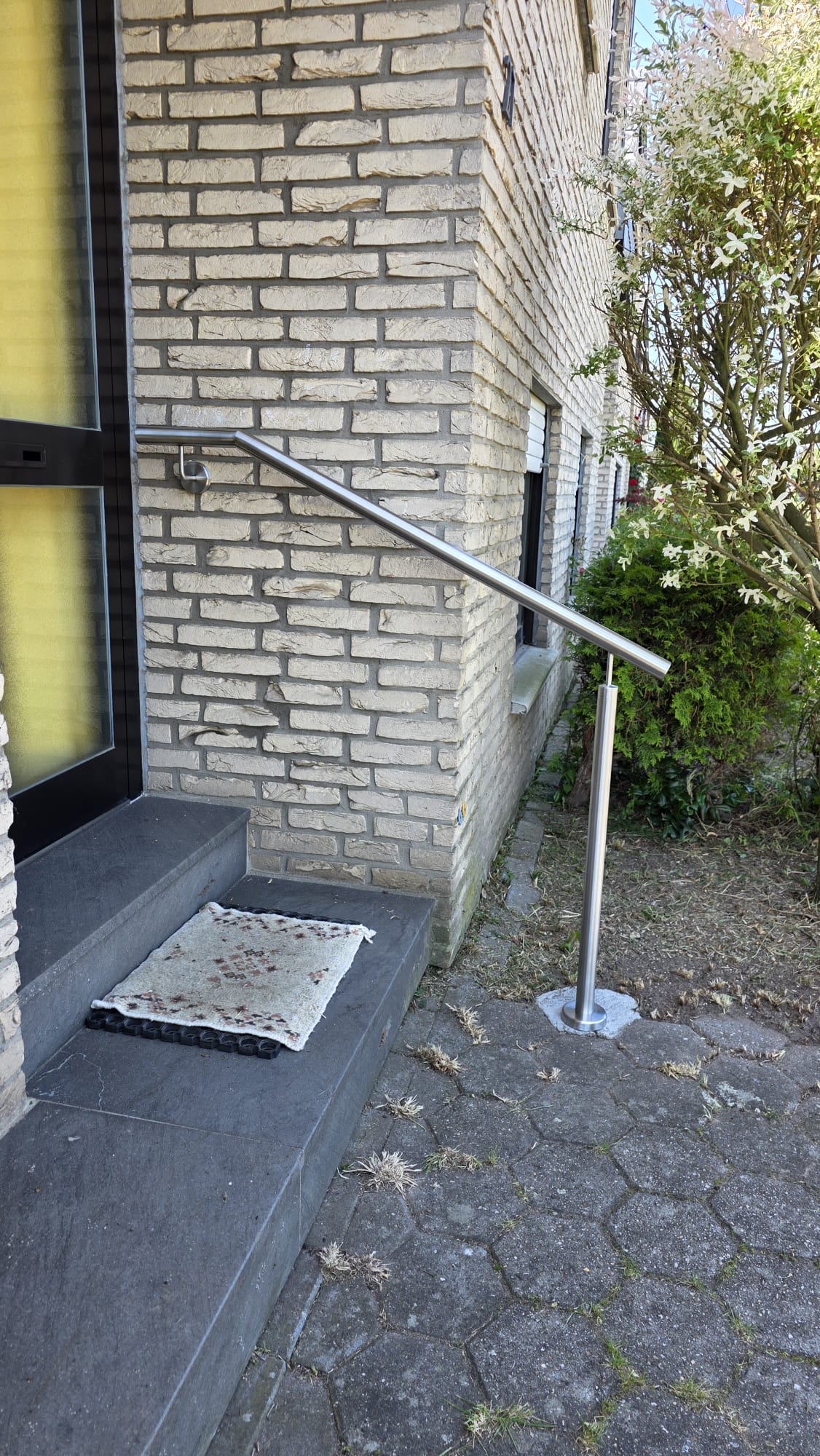 Eingangsgeländer Handlauf Edelstahl Pflegekasse